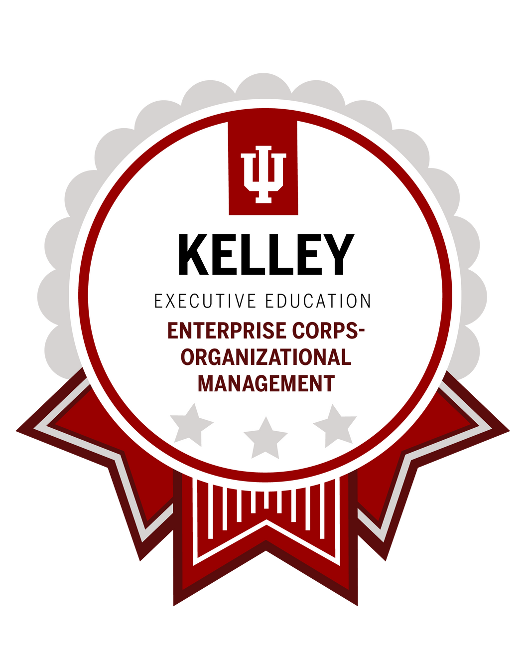 Enterprise Corps-Organizational Management