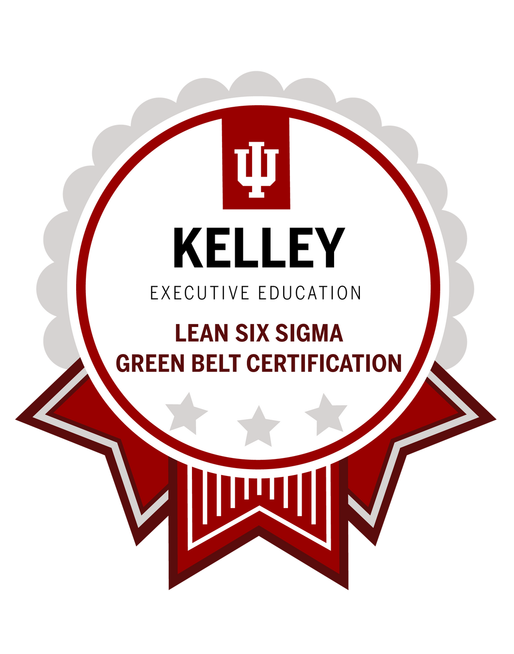 Lean Six Sigma Green Belt Certification
